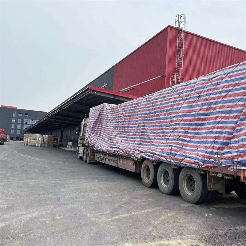 渝中区物流：多元服务与运输线路探秘
